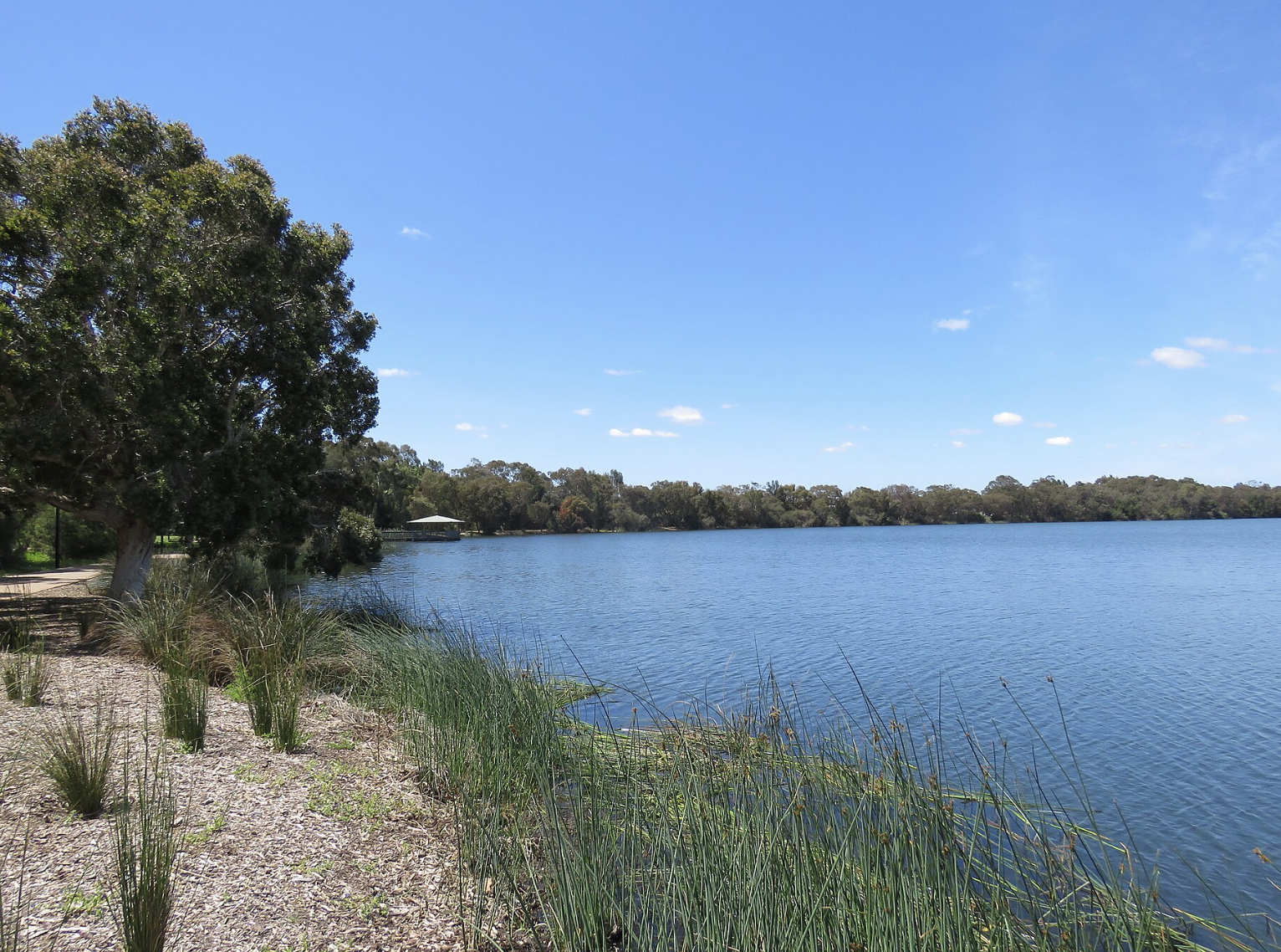 Lake Monger, Wembley WA 6014