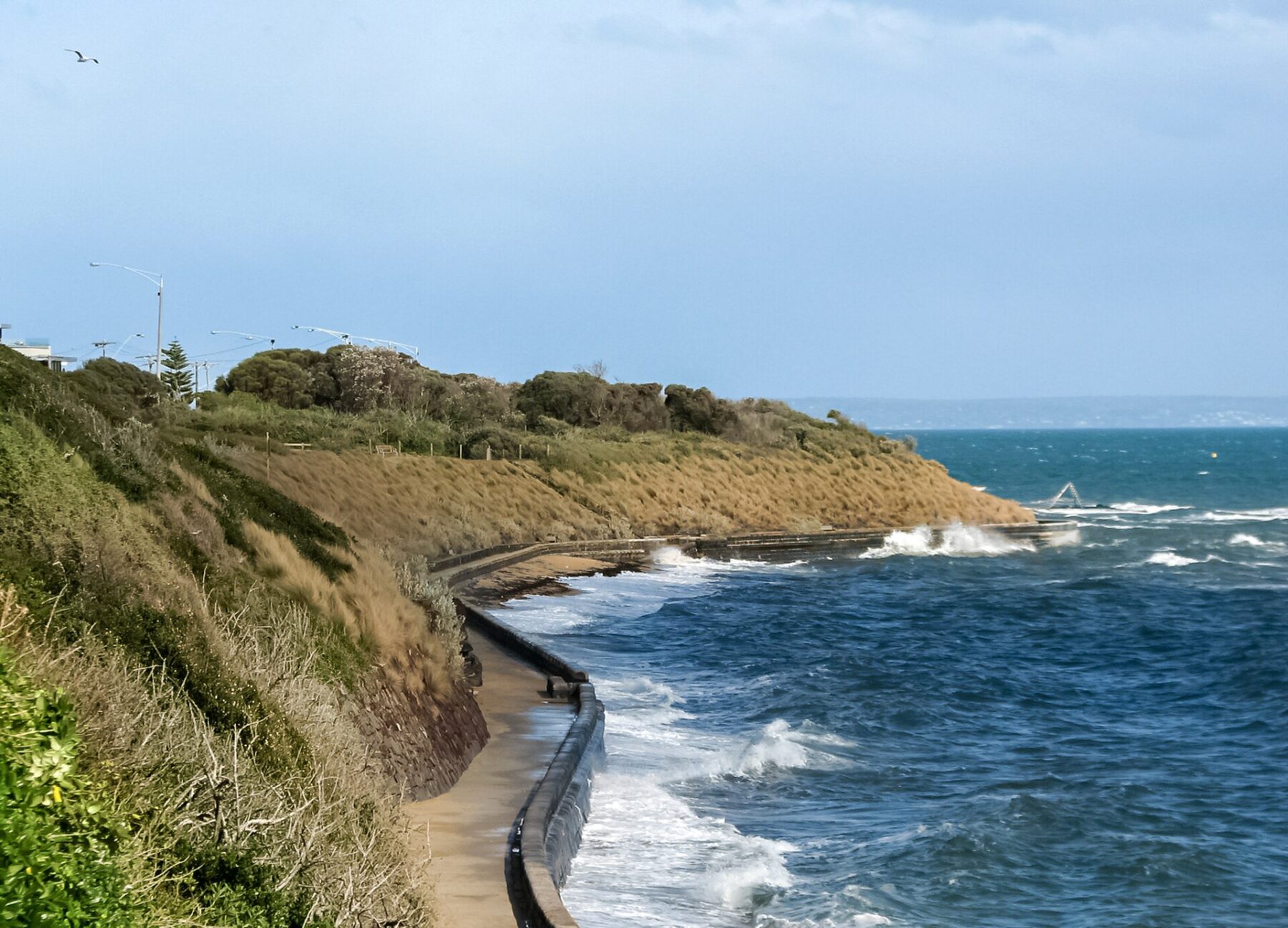 Chemist2U delivery to Black Rock VIC