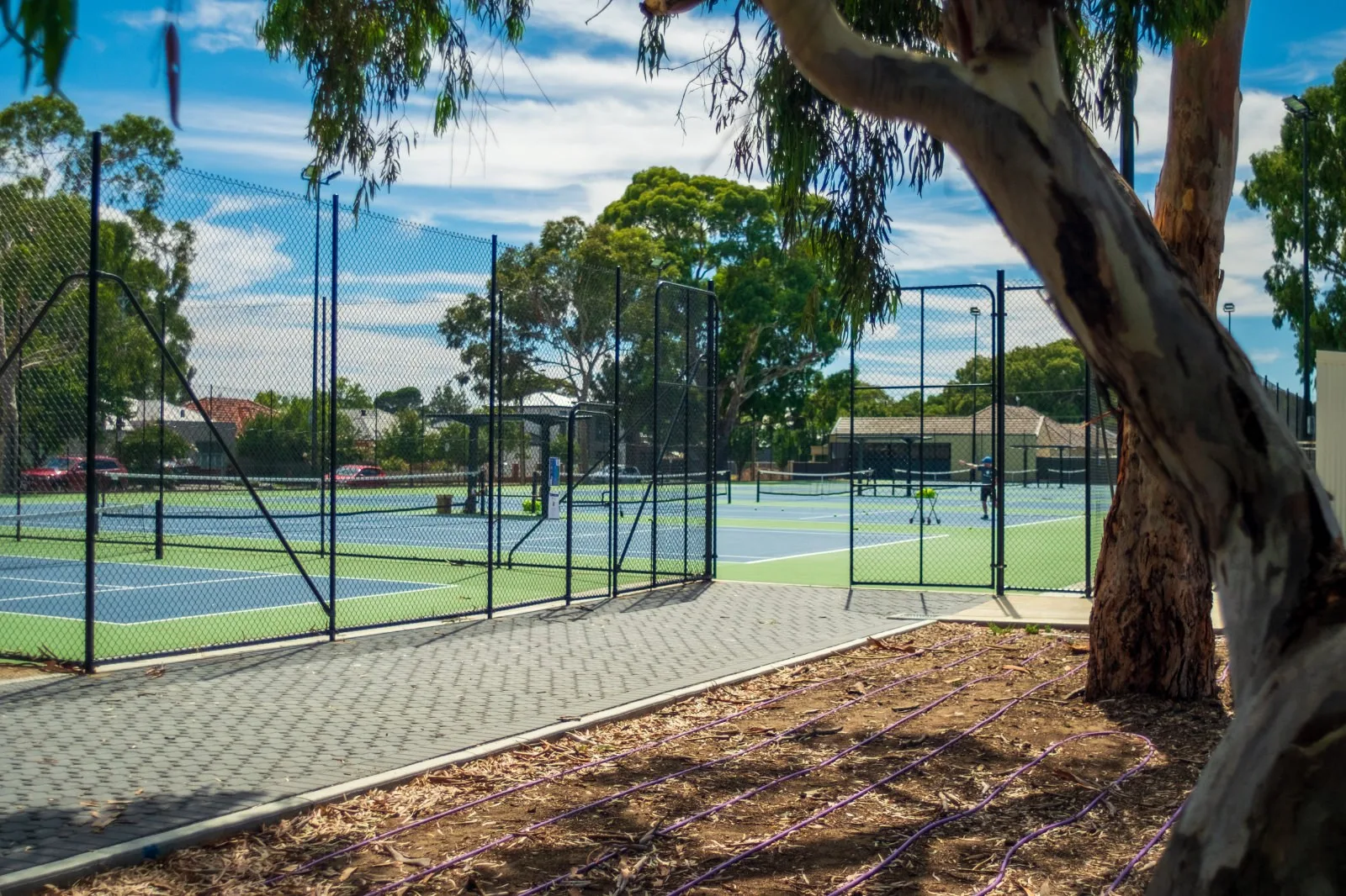 Tennis courts at Lockleys, SA
