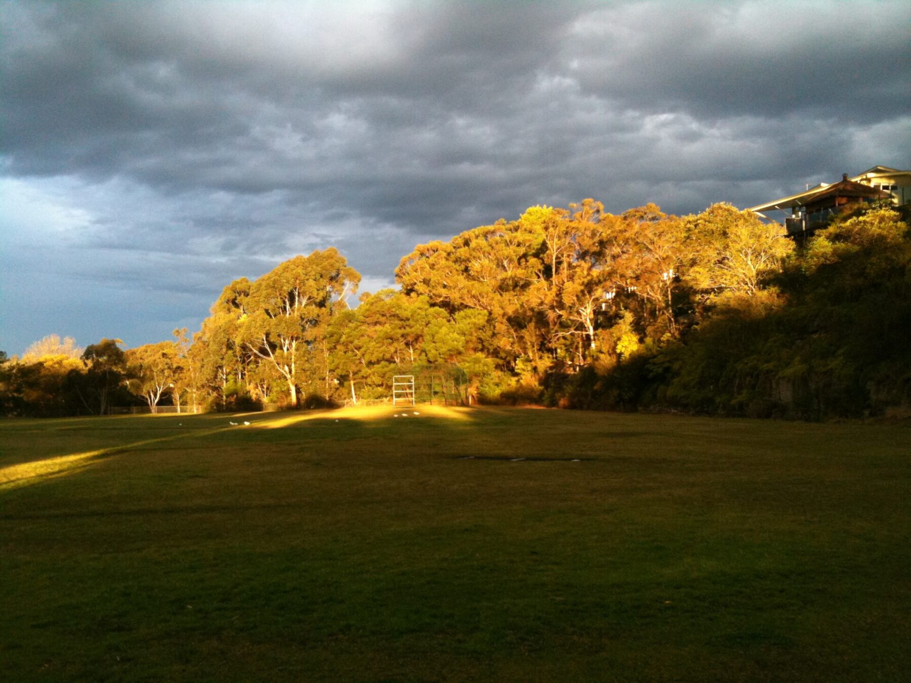 Chemist2U delivery to St Ives NSW